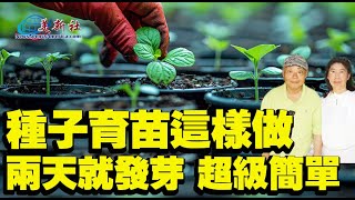 種子育苗這樣做48小時就發芽超級簡單