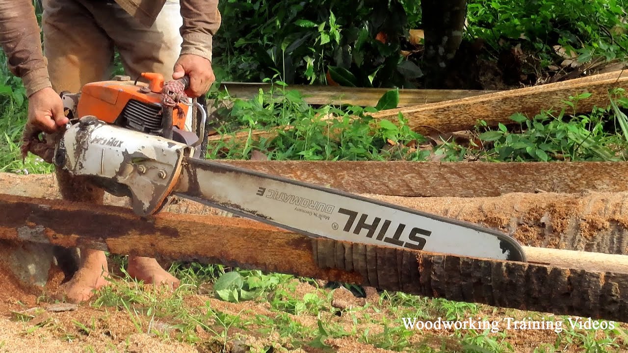 STIHL Chainsaw VS Dead Palm Trees! Woodworking Cutting Skills - YouTube