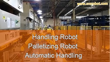 Handling Robot |Palletizing Robot | Automatic Handling