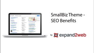SmallBiz Dynamic WordPress Theme - SEO Features
