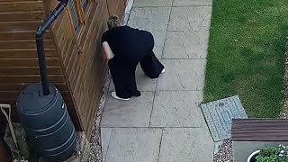 Mouse bites woman as she searches for it under the office floorboard || WooGlobe