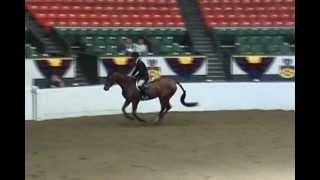 USHJA Zone 1 Pre-Green Championship 2012.wmv
