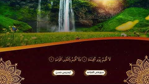 صوت يريح القلـب ❤️ القارئ إدريس الكردي