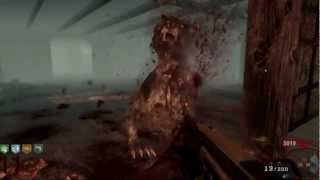 COD: Black Ops Zombies Hell Hound Round with unused theme