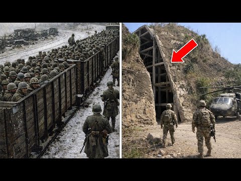 Thousands of U.S. Military Troops Vanished in WWII — 50 Years Later, a Shocking Truth Was Discovered
