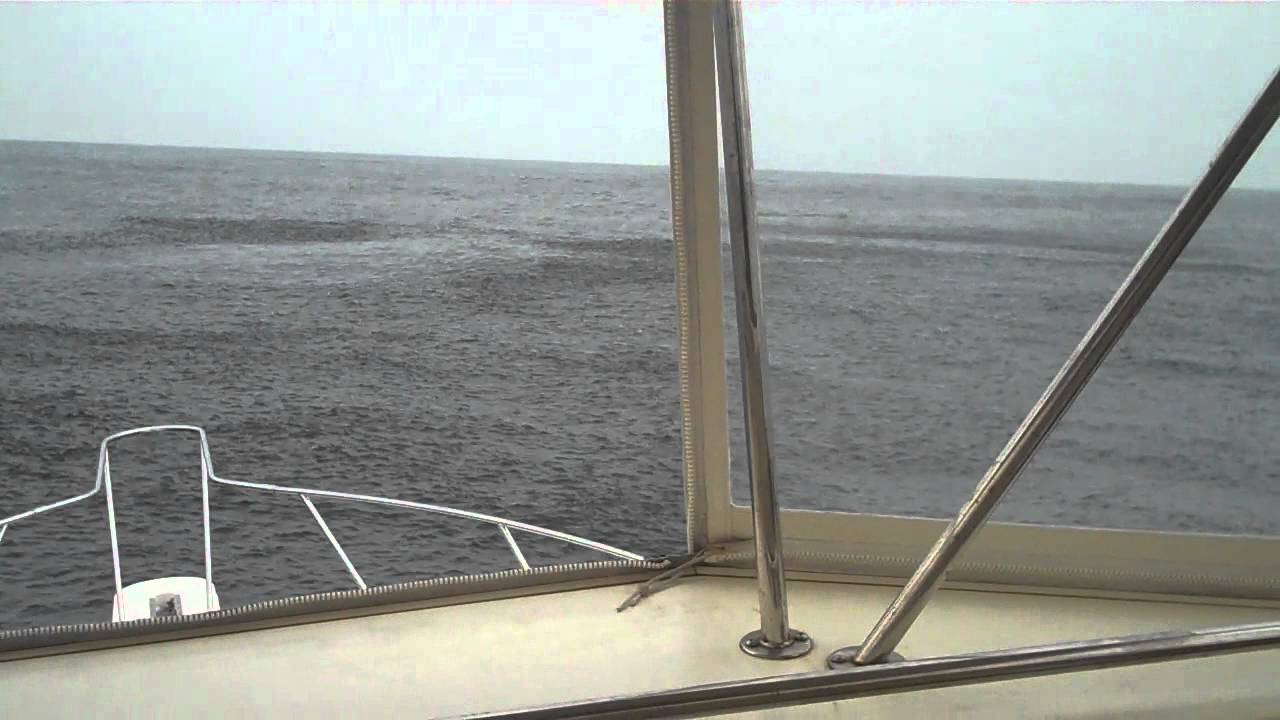Fishin' Freak Charters New Jersey Tuna Fishing YouTube