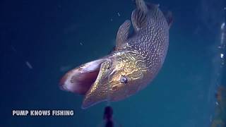 10 Minutes of Underwater Pike Strikes PART 2 - Water Wolf Underwater Camera