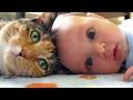 Funniest Animals Around the World 😂  Funny Dog &amp; Cat Moments | You Won't Believe What Happens! 🐾