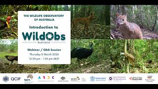 Introduction to WildObs - Webinar - 5 March 2026