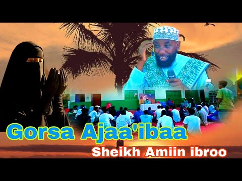 Sheikh Amiin Ibroo Dhaamsa Ajaa Ibaa Muhaadaraa