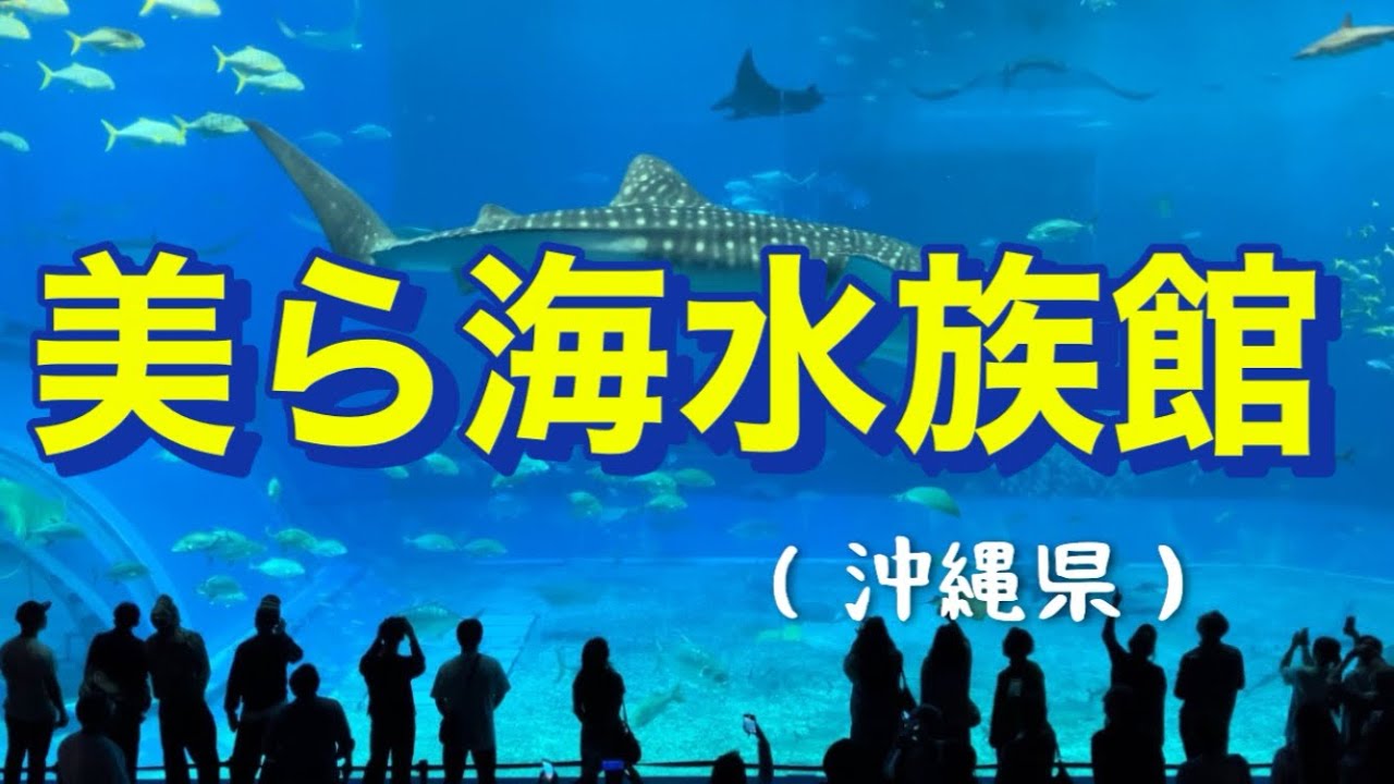 美ら海水族館（沖縄県）