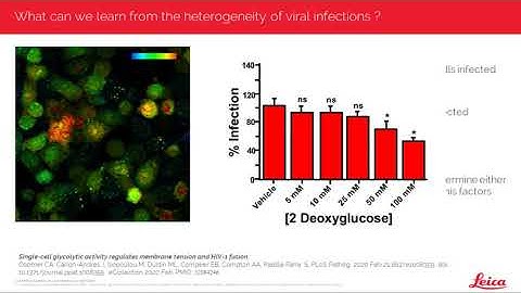 Advanced quantitative fluorescence microscopy to probe the molecular dynamics of viral entry