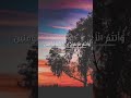 الشيخ مهدي القاجي الشيخ مهدي القاجي