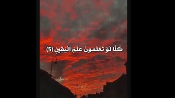 سورة التكاثر #حالات #واتساب قراءه جميله