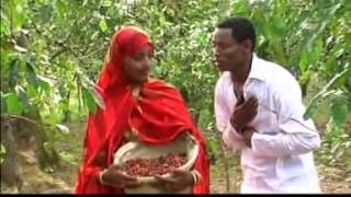 Tajudin Ahmed - Jimmittii koo (Oromo Music)