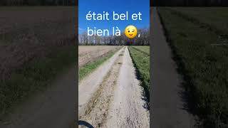 Dur Les Sorties Gravel Par Ce Temps