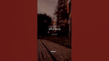 الکوثر || سوره زیبای کوثر با ترجمه