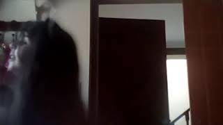 OiTG👀