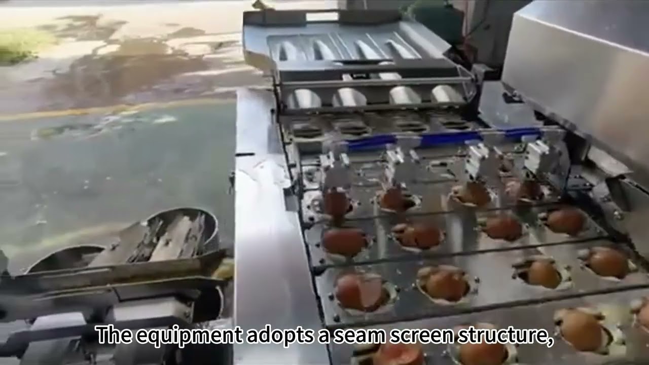 Video of Egg Shell, White and Yolk Separator Machine