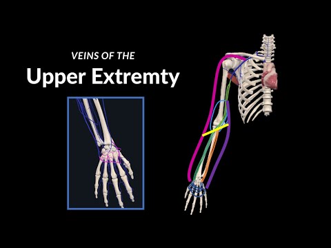Video: Hvilket område av armen dreneres til de epitrochleære nodene?