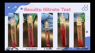 Group 5: Mayra Landeros, Sofia Guerra – Lab Report 9: Biochemical Test III – Fall 2025