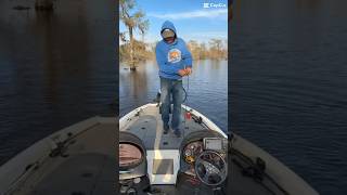 Danny Kellogg / Black Lake