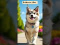 Stylish Pup Alert 🐶✨ | Cutest Walk of the Day!#viralvideo #viral #viralshorts