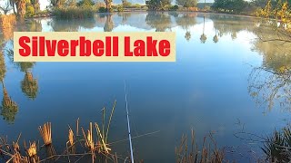 An Awesome Day Of Fishing This Arizona Urban Pond (Silverbell Lake, Az.)