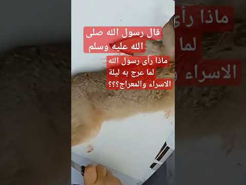 ماذا رأى رسول الله لما عرج به ليلة الاسراء والمعراج قال رسول الله صلى الله عليه وسلم قصص الرسول