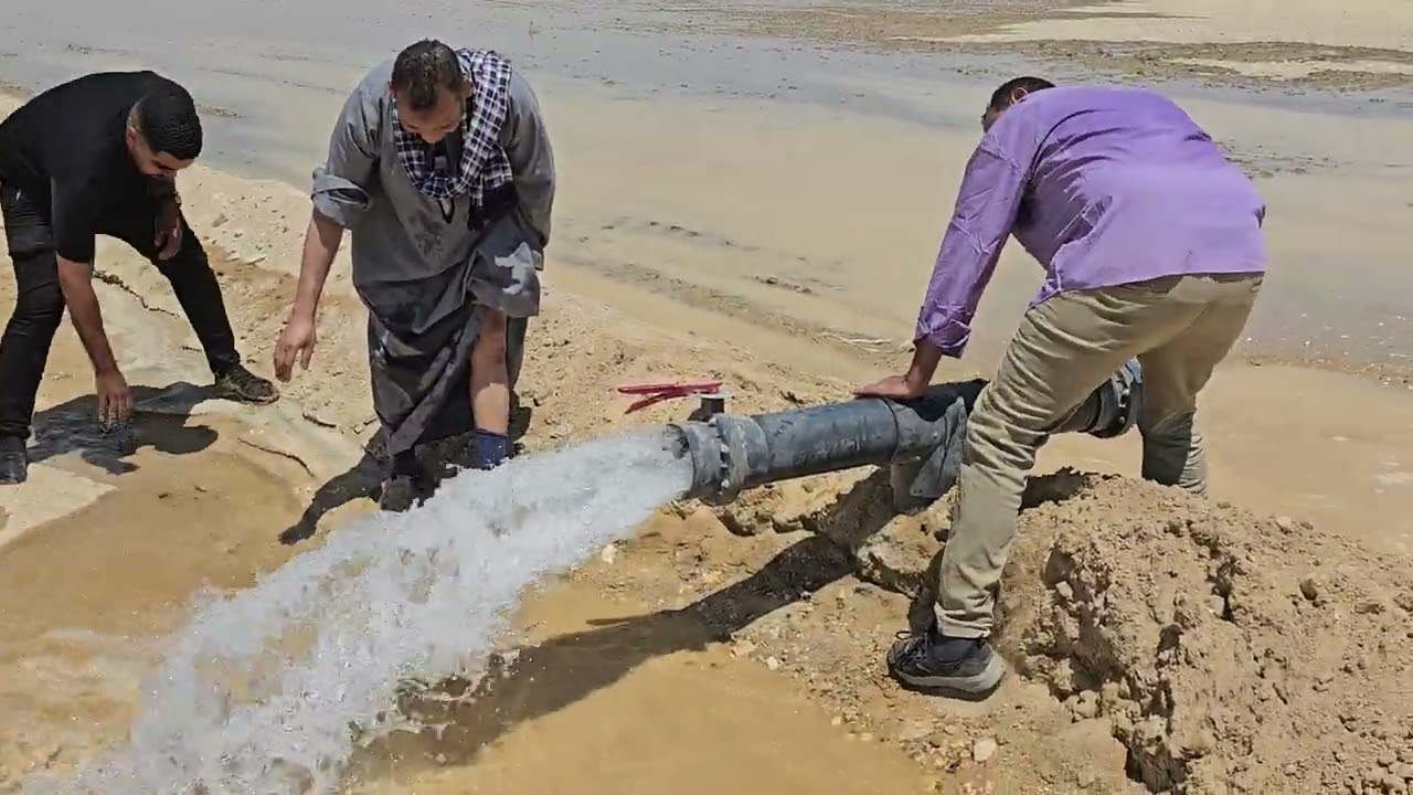 اشتري غمر وتنقيط  طريق ديروط الفرافره وجمال الأرض للحجز 01008791285 م اسامه  الفار