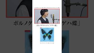 #ポルノグラフィティ「#アゲハ蝶」#THEFIRSTTAKE 原曲とのアレンジの違いをお楽しみください🦻✨