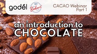 An Introduction to Cacao | Types of Chocolate | Shelf Life and Storage [CACAO Webinar Part 1]