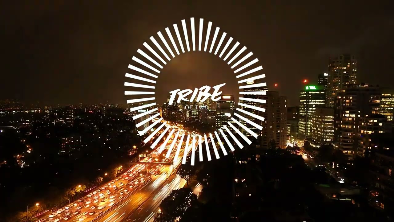 Tribe Of Two - Need To Feel Loved (Lyric Video)