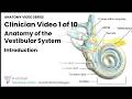 Anatomy of the Vestibular System — Introduction | Clinician Video 1