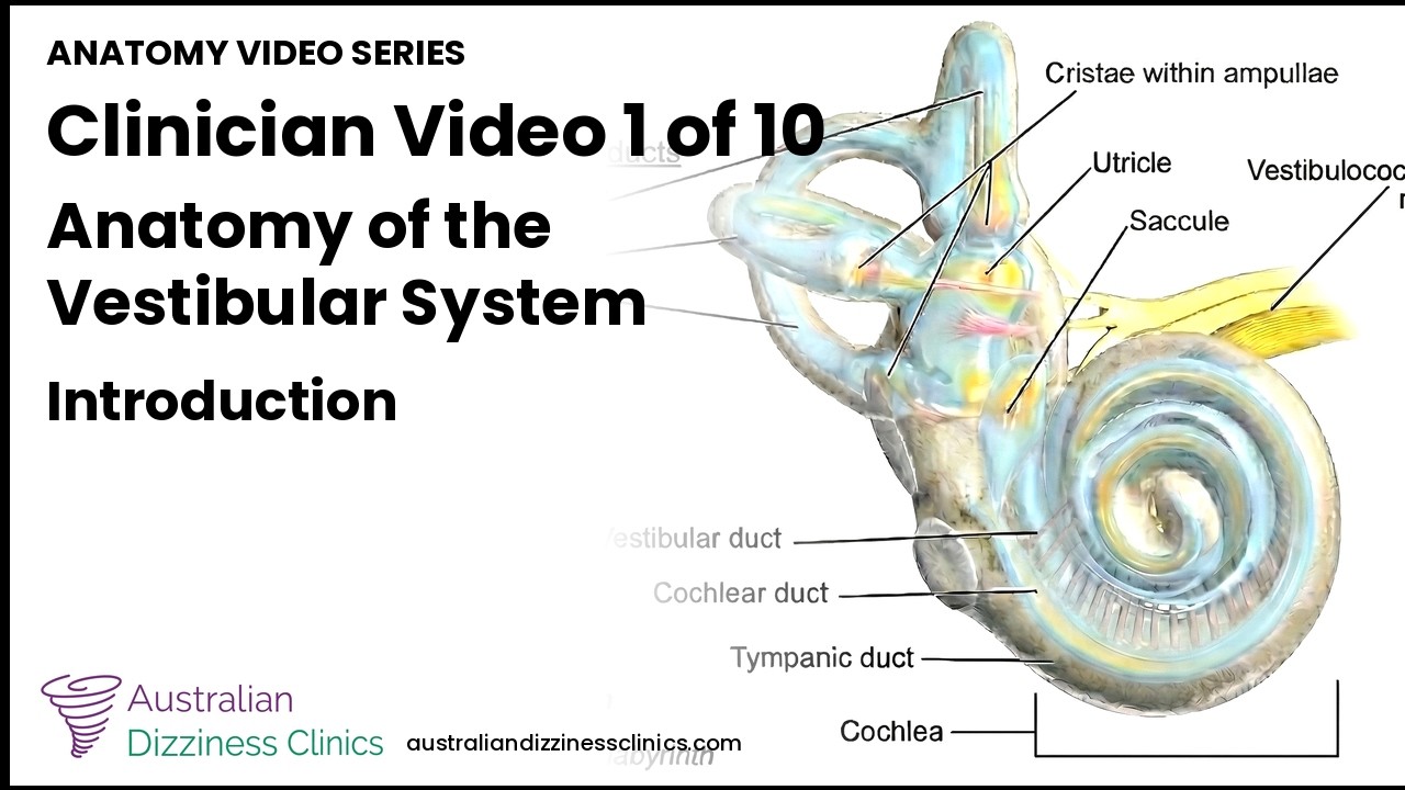 Anatomy of the Vestibular System — Introduction | Clinician Video 1 ...