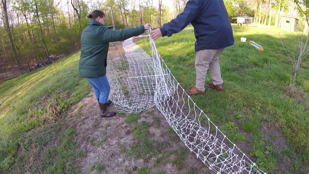 Moving the Premier One Fencing on our Cornish Cross Pasture Raised