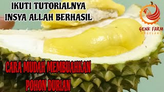 CARA MUDAH MEMBUAHKAN POHON DURIAN ‼️ GUNAKAN TEHNIK INI DIJAMIN BERHASIL