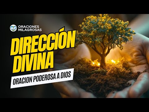 Guía Espiritual: Oraciones para el Discernimiento y la Dirección Diva 🙏 - Oraciones Milagrosas