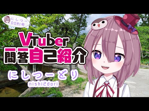 【自己紹介】Vtuber一問一答自己紹介にしつーどり【新人VTuber】