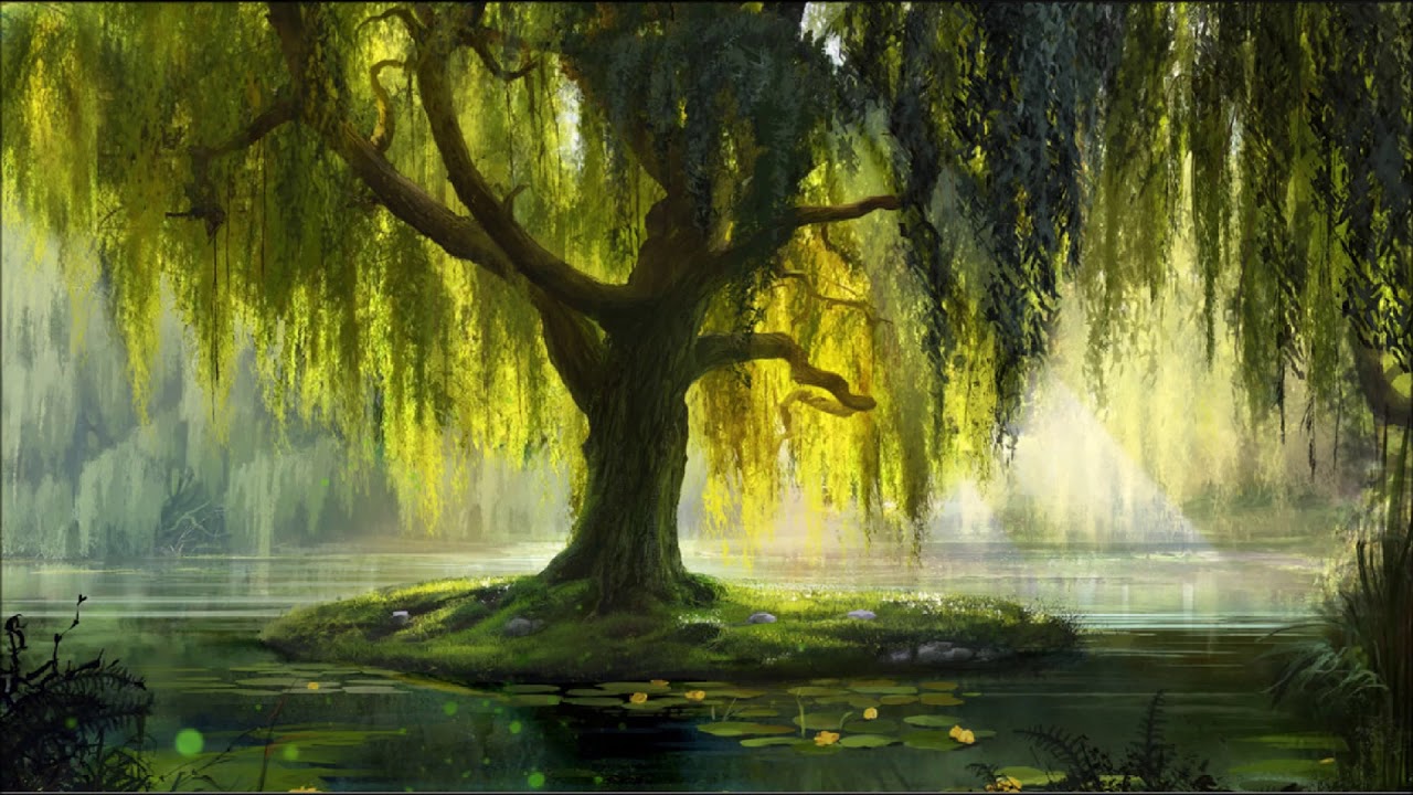 The Arcadian Wild - Willow