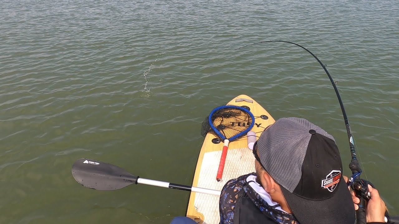 Bass Fishing On A Paddleboard With A Swimbait