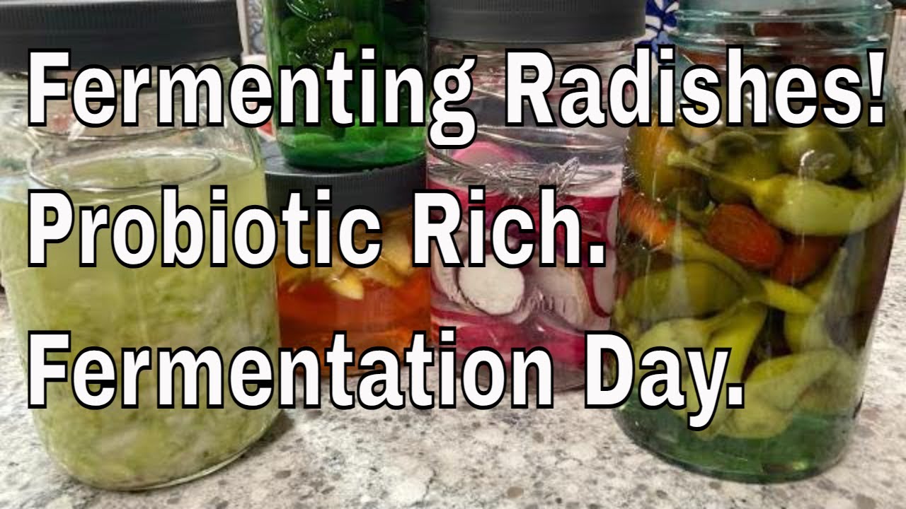 Fermenting Radishes!  Probiotic rich! Easy method!