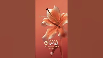 قرآن كريم سورة الإخلاص 💿 سعد الغامدي