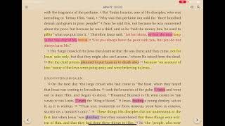 John Chapter 12: A quick study overview