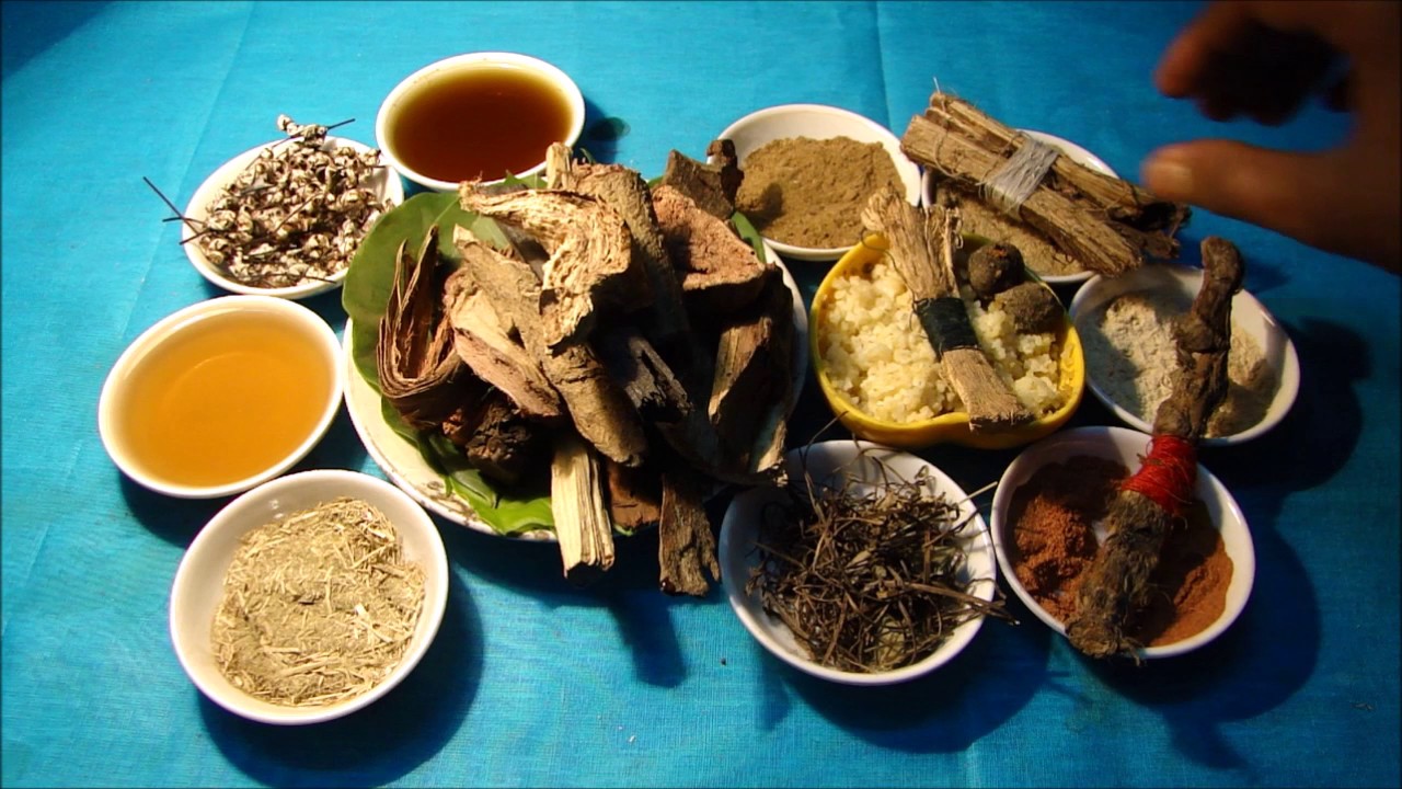 Oral Cancer Avoid Stevia with these Formulations. Film by Pankaj Oudhia YouTube