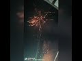 Suga Priya’s Star Night 30 Shots Skyshot 💥 Full Test | Fireworks Review | #AnshuFireworksTesting