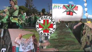 MardiGrass Nimbin 09 - WAKE UP Australia