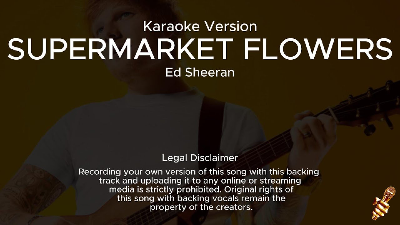 Ed Sheeran Supermarket Flowers (Karaoke Version) YouTube