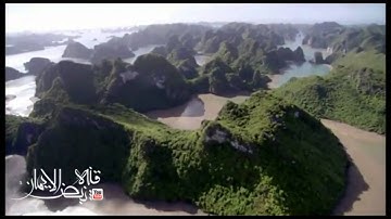 تلاوة القارئ : غازي السعدون‬‎ - إمام جامع الأميرة مضاوي