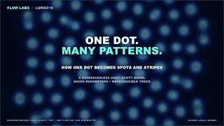 How One Dot Becomes Spots and Stripes | Gray–Scott Simulation